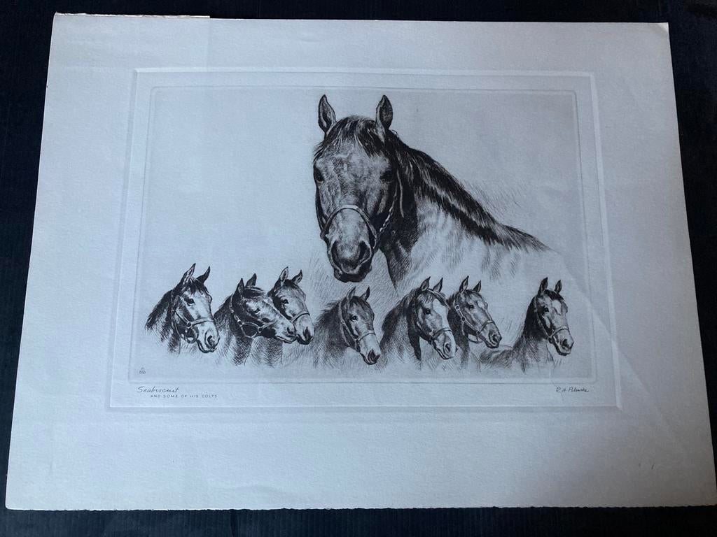 Seabiscuit and some of his Colts R.H. Palenske, Antiek en Kunst, Ophalen of Verzenden