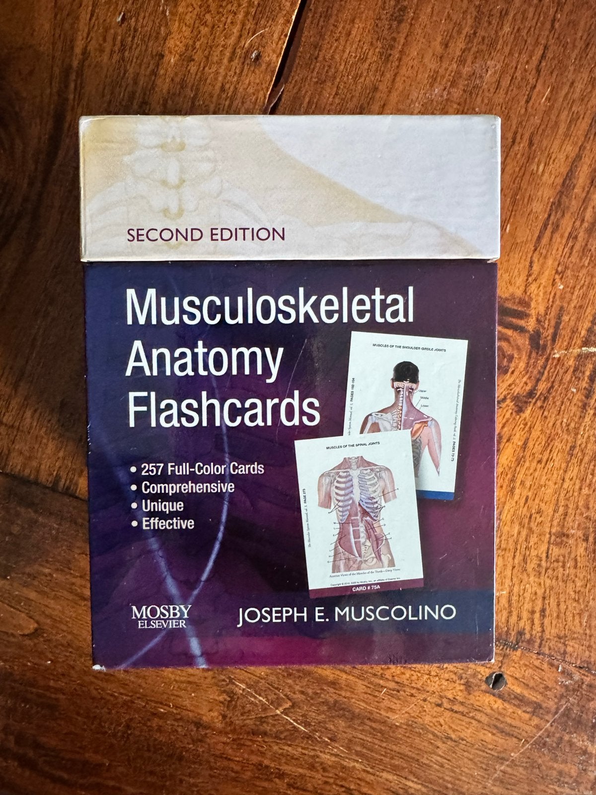 Musculoskeletal Anatomy Flashcards - Joseph E. Muscolino, Boeken, Ophalen of Verzenden, Beta, Zo goed als nieuw, HBO