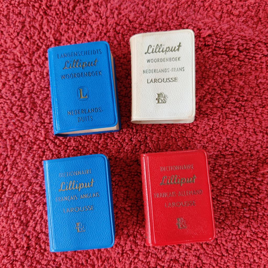 Woordenboeken Lilliput, Ophalen of Verzenden, Gelezen, Van Dale, Nederlands