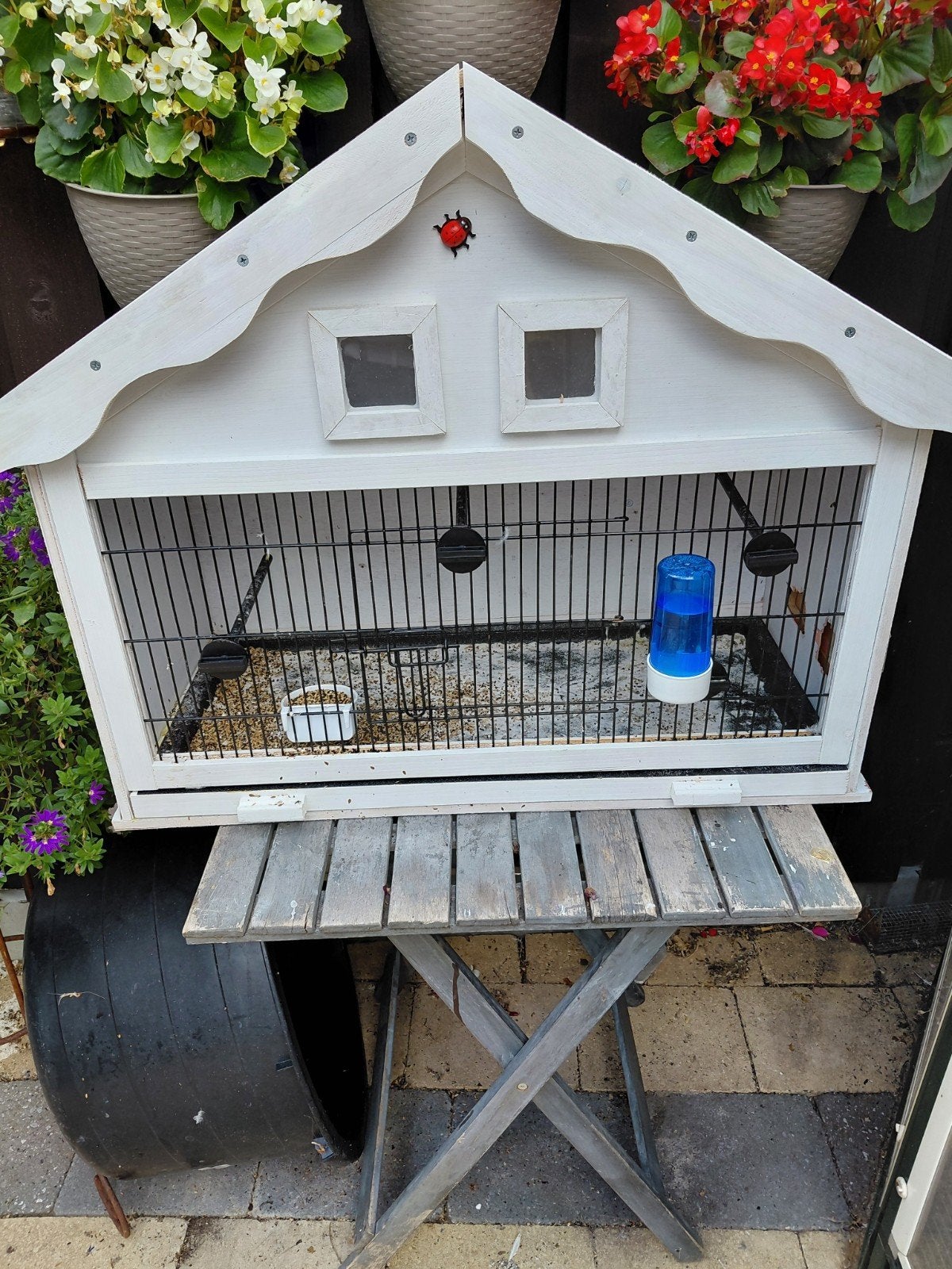 te koop mooie vinken of lijster of kanariekooi,zie foto, Dieren en Toebehoren, Ophalen, Zo goed als nieuw, Hout, Vogelkooi