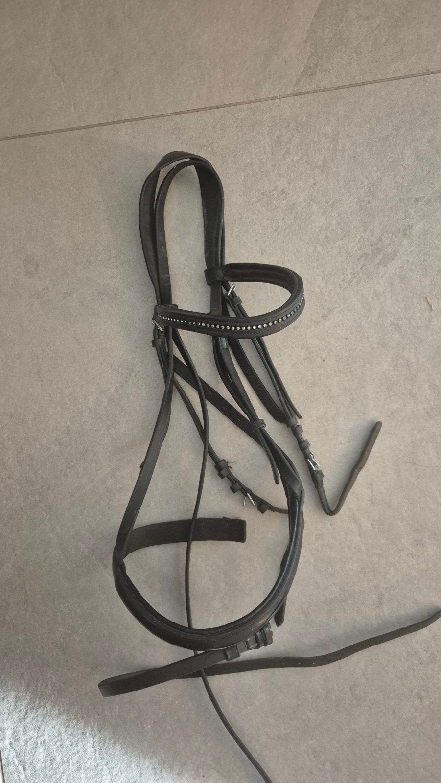 Zwart hoofdstel, Ophalen of Verzenden, Zwart, Full, Hoofdstel