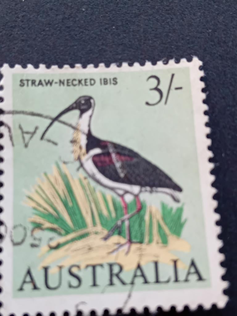 Australische postzegel: Strohalsibis (Straw-necked Ibis), Ophalen of Verzenden, Gestempeld, Dier of Natuur