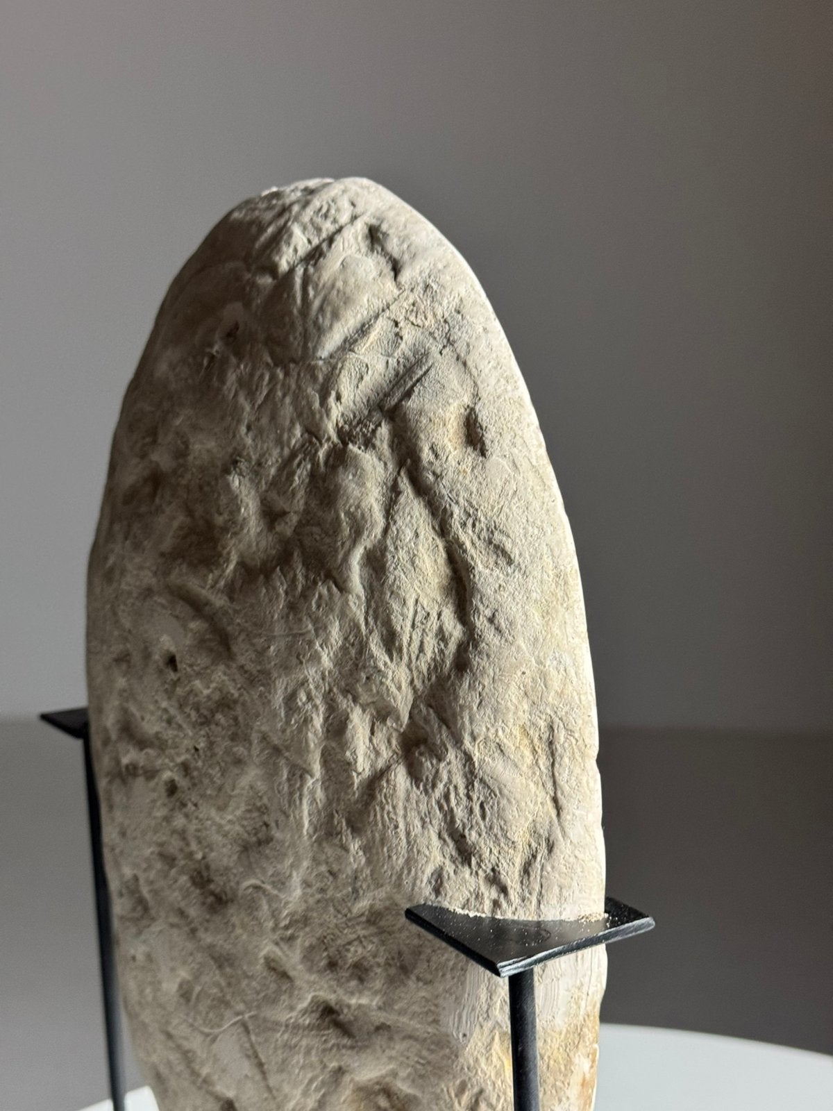 Septarian Nodule op custom standaard, Verzamelen, Ophalen of Verzenden, Fossiel