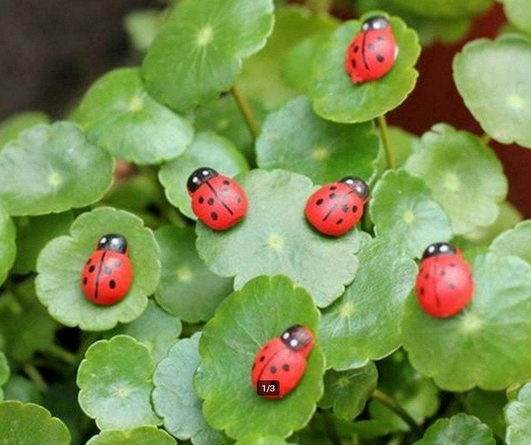 4 Lieve Heren beestjes, Ophalen of Verzenden, Zo goed als nieuw, Poppenhuis
