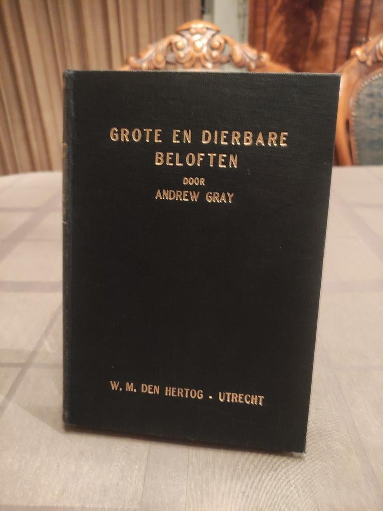 Grote en dierbare beloften, Ophalen of Verzenden