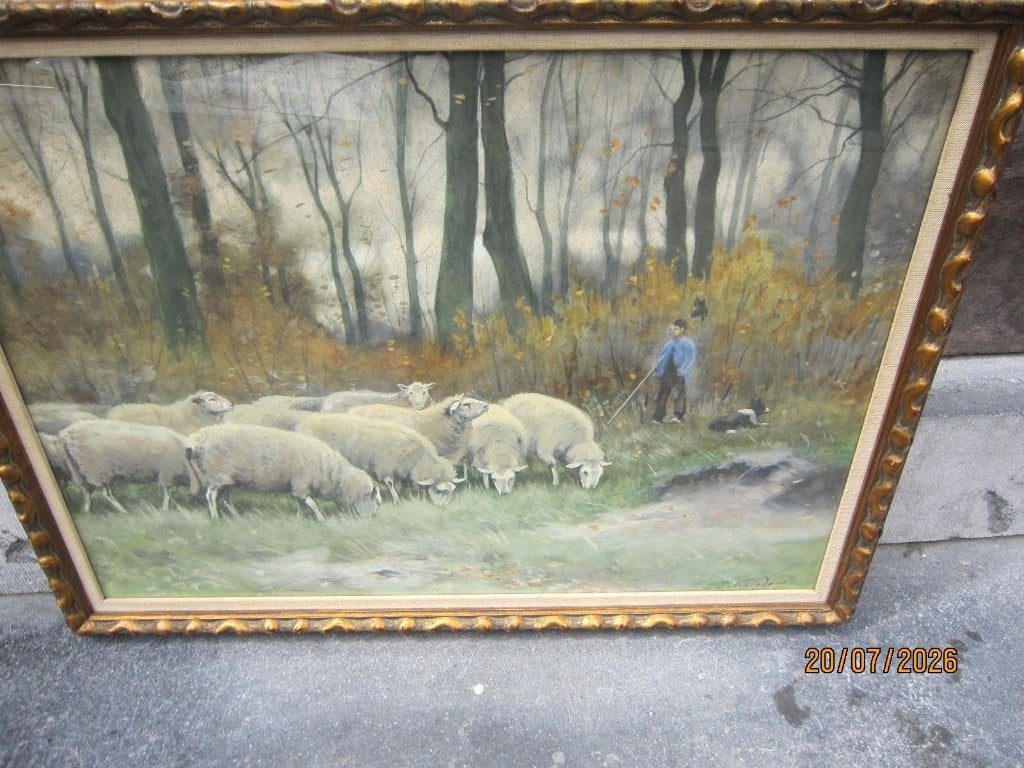 HAAGSESCHOOL, PP SCHIEDGES, Pr schild.SCHAAPSKUDDE, Ophalen, Achter glas, Landschap