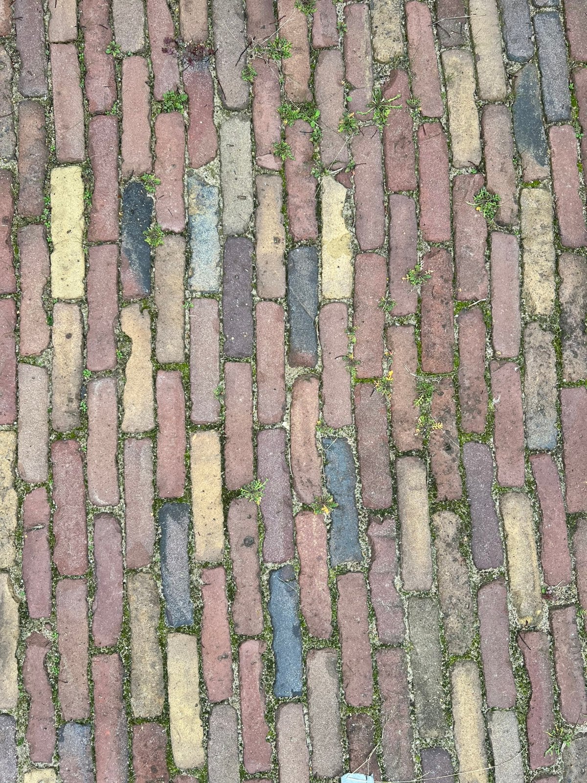 Oude walen circa 30m2, Tuin en Terras, Ophalen, Gebruikt, Klinkers, Gestraald