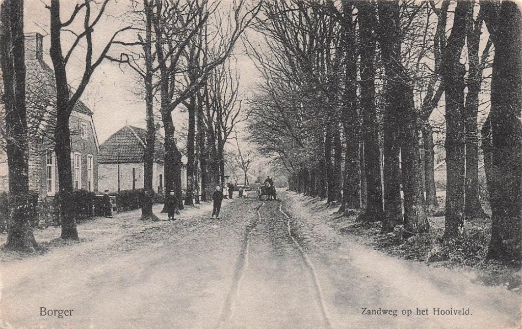 703-159-003 Borger Zandweg op het Hooiveld, Verzenden, Voor 1920, Drenthe