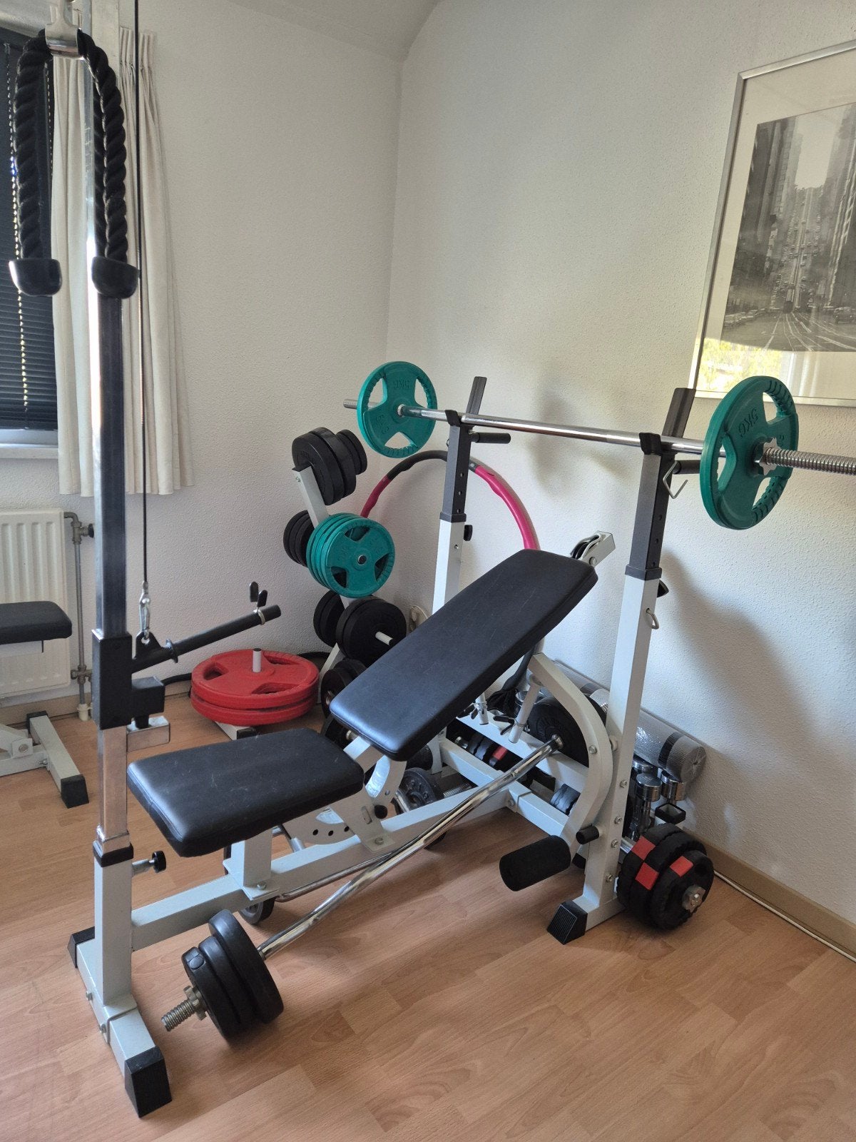 Complete Sport Kamer: Halters, Gewichten, Stang & Banken, Ophalen