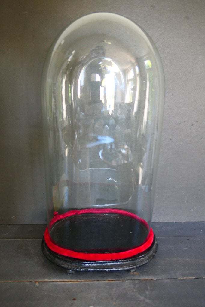 Antieke grote ovale glazen handgeblazen stolp, Glas, Ophalen, Zo goed als nieuw, Met plateau