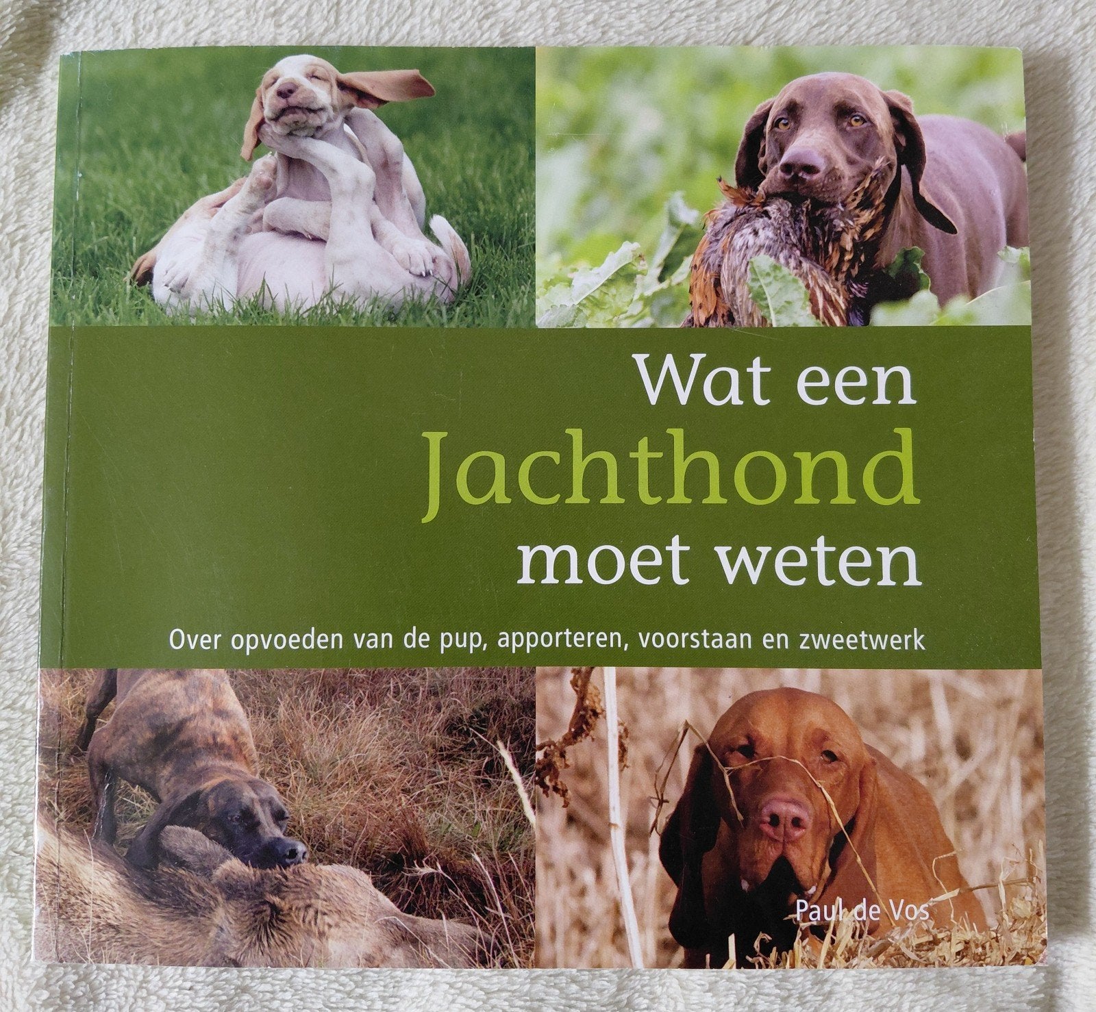 Wat een jachthond moet weten, P. de vos, Gelezen, Honden, Ophalen of Verzenden, P. de Vos