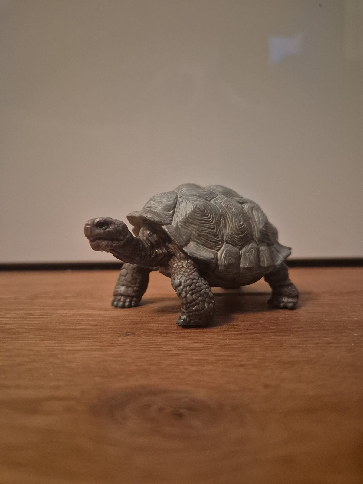Schleich schildpad, Verzamelen, Dierenverzamelingen, Ophalen of Verzenden, Zo goed als nieuw, Beeldje of Figuurtje