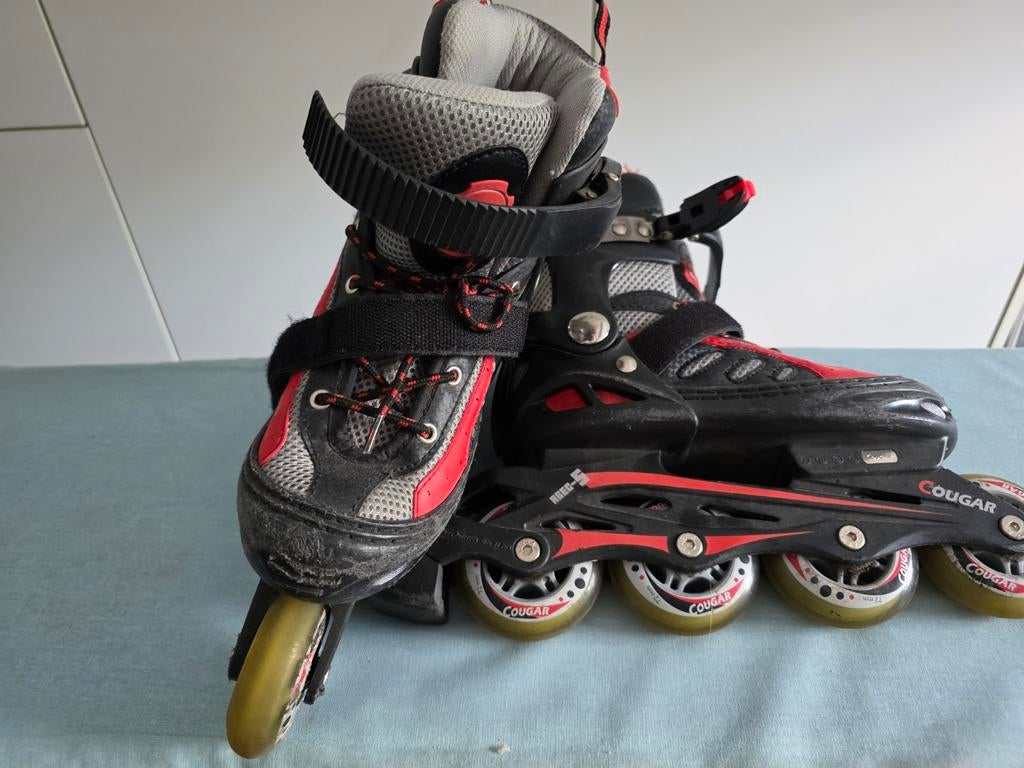 Verstelbare Inline Skates Cougar - Maat 32-35, Ophalen
