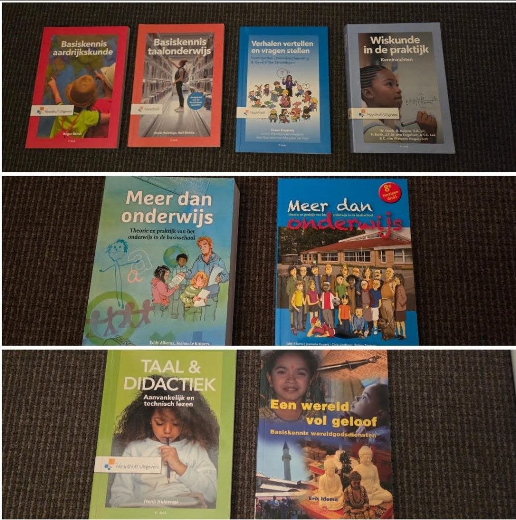 Diversen schoolboeken voor I Pabo    ( 10 euro per stuk ), Boeken, Ophalen of Verzenden, Alpha, Zo goed als nieuw, HBO