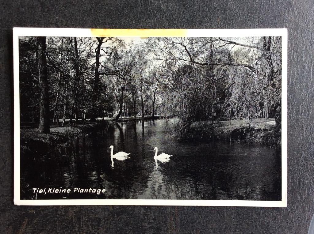 Tiel, Kleine Plantage, Ophalen of Verzenden, 1960 tot 1980, Ongelopen, Gelderland