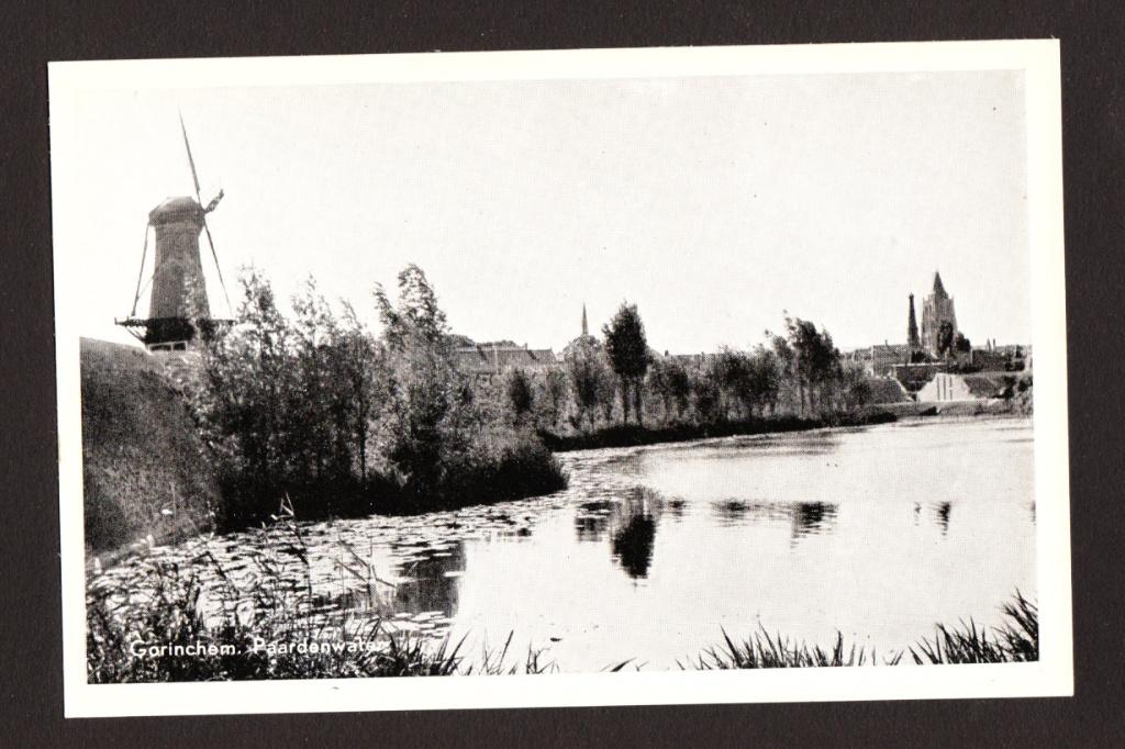 Gorinchem - Paardenwater, Verzenden, 1940 tot 1960, Ongelopen, Zuid-Holland
