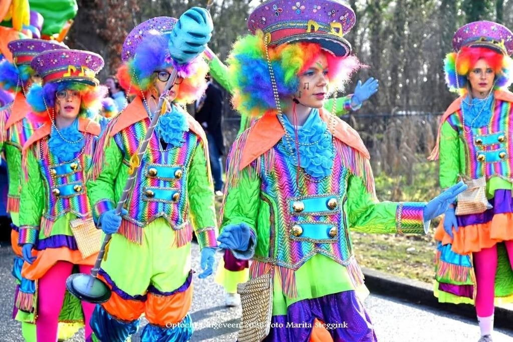 carnavalskleding thema FOUT FEESTJE, Ophalen, Carnaval, Kleding, Maat 34 (XS) of kleiner