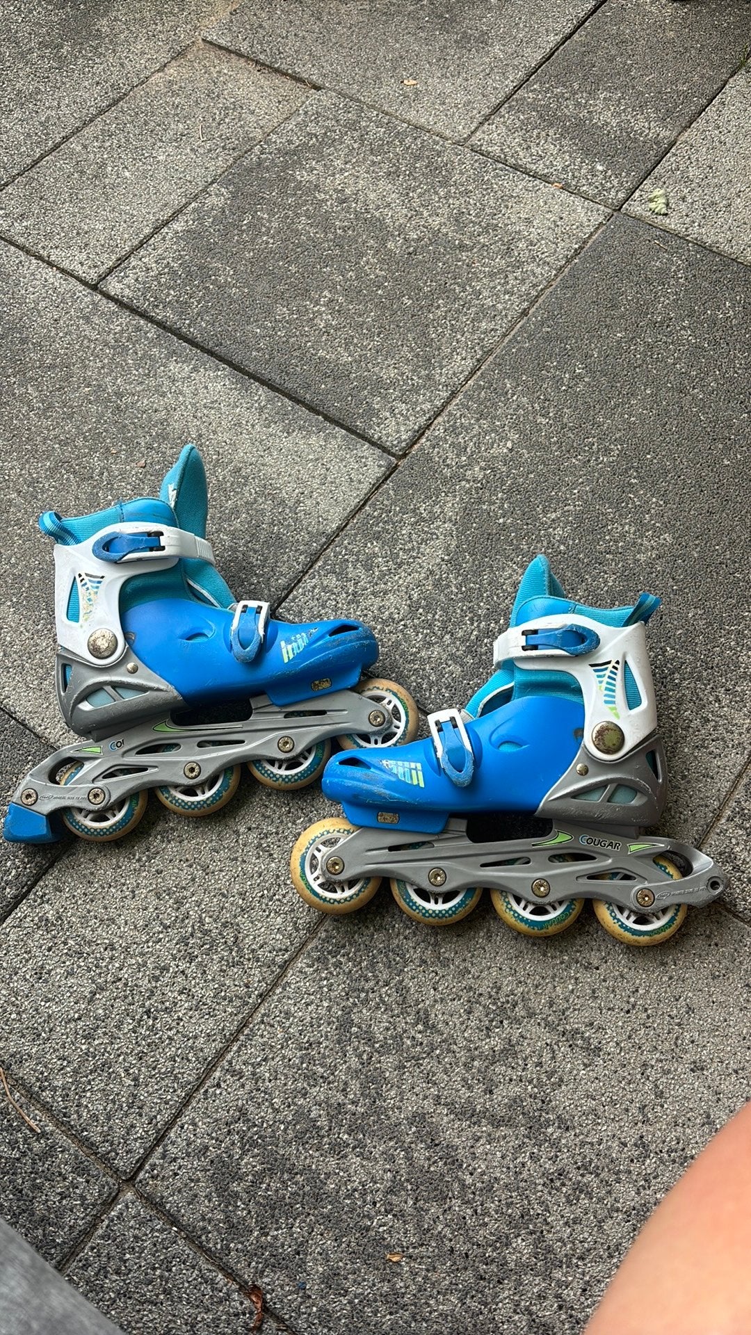 In line skates Cougar maat 34-37, Overige merken, Kinderen, Ophalen of Verzenden, Inline skates 4 wielen