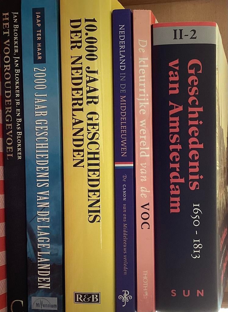 Geschiedenisboeken, Boeken, Geschiedenis | Wereld, Zo goed als nieuw, Europa, Ophalen of Verzenden