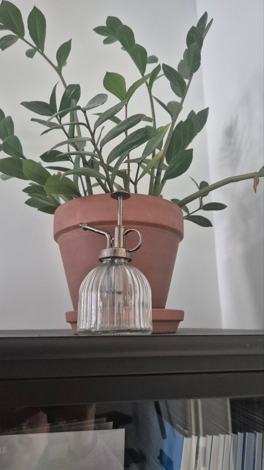 Glazen plantenspuit met metalen pomp, Ophalen, Zo goed als nieuw, Overige materialen