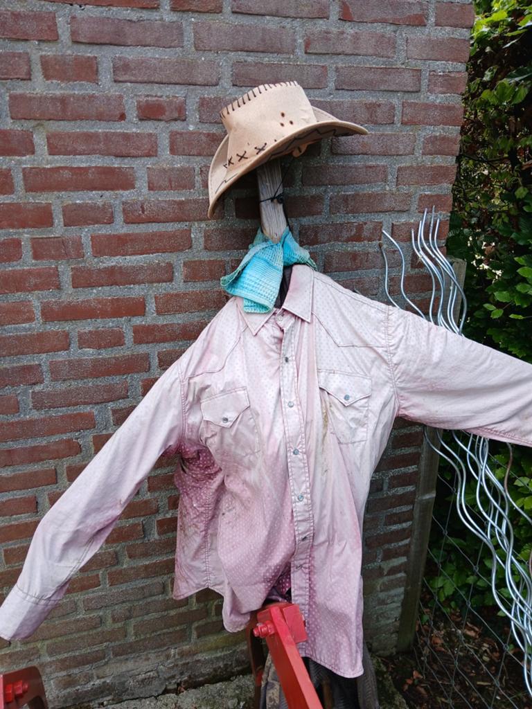 Vogelverschrikker te koop, Ophalen, Zomer, Overige soorten, Volle zon