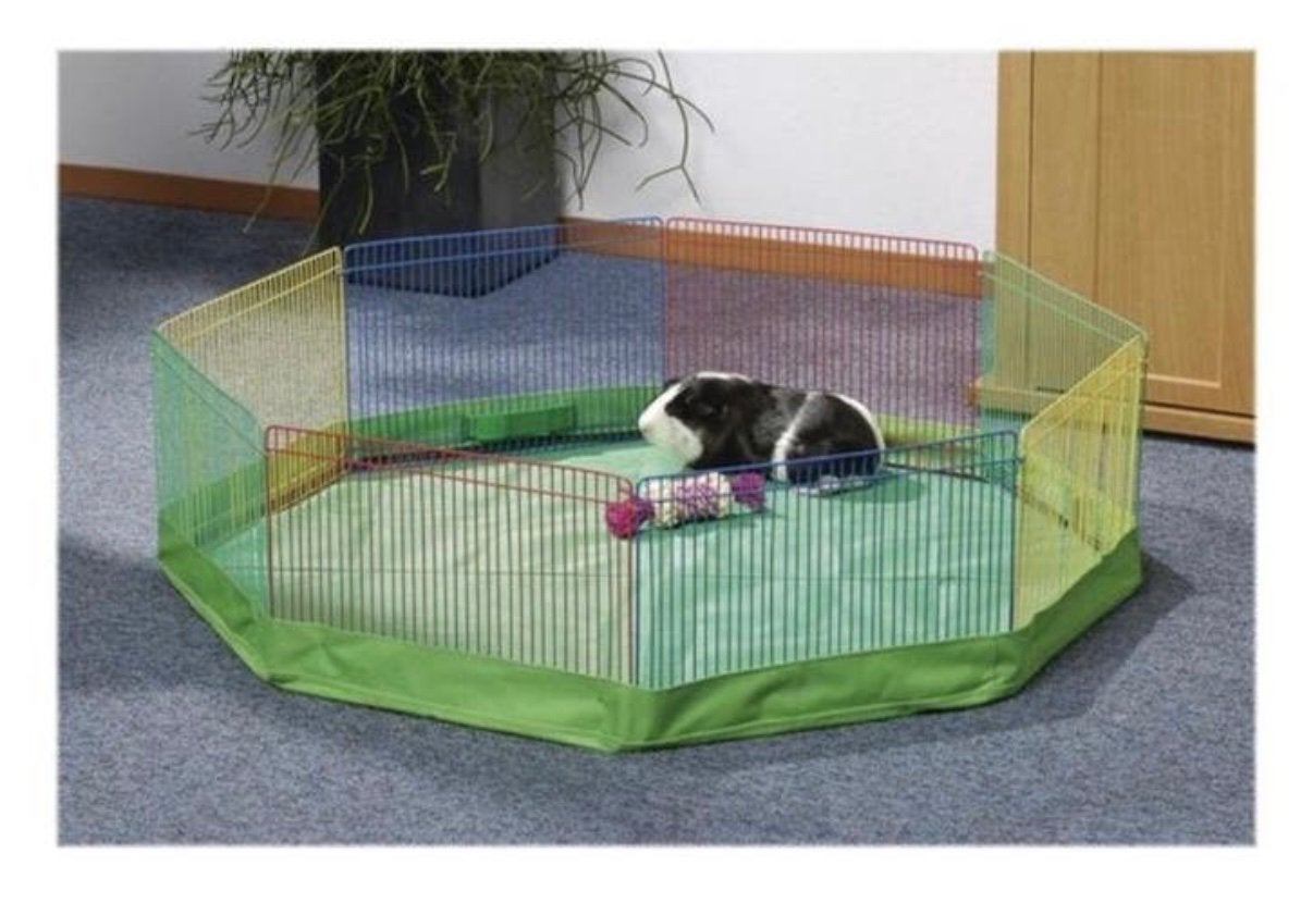 Hamster ren, Ophalen of Verzenden, Gebruikt