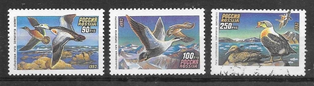 Rusland 1993  Eenden, Verzenden