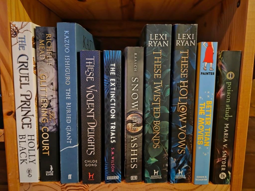 Diverse engelstalige boeken, Boeken, Ophalen of Verzenden, Zo goed als nieuw, Nederland