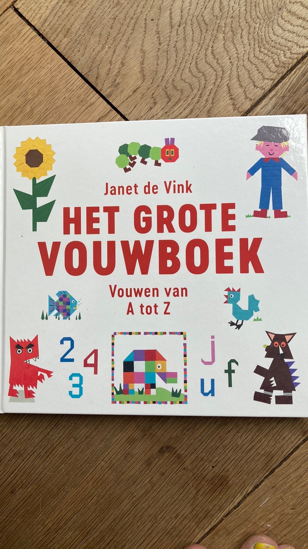 Het Grote Vouwboek van Janet de Vink - Zo goed als nieuw, Non-fictie, Ophalen of Verzenden, Zo goed als nieuw, Janet de Vink