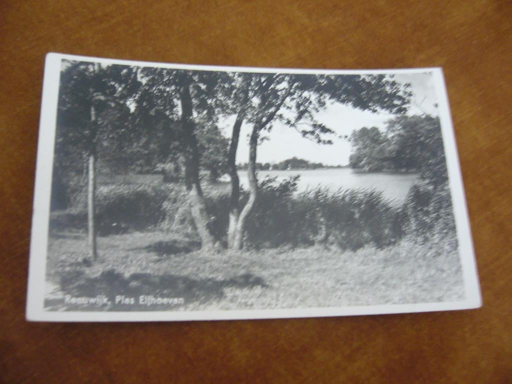 REEUWIJK   =  PLAS ELFHOEVEN, Verzamelen, Ansichtkaarten | Nederland, Ophalen of Verzenden, 1940 tot 1960, Ongelopen