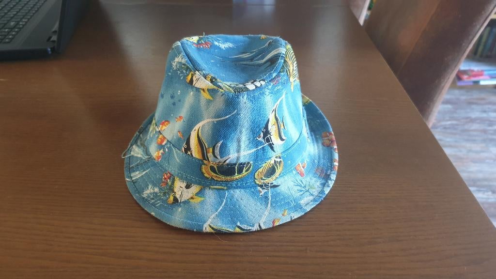 Super leuke hoed maat 54, Kinderen en Baby's, Kinderkleding | Petten en Hoeden, Jongen of Meisje, Ophalen of Verzenden, Zo goed als nieuw