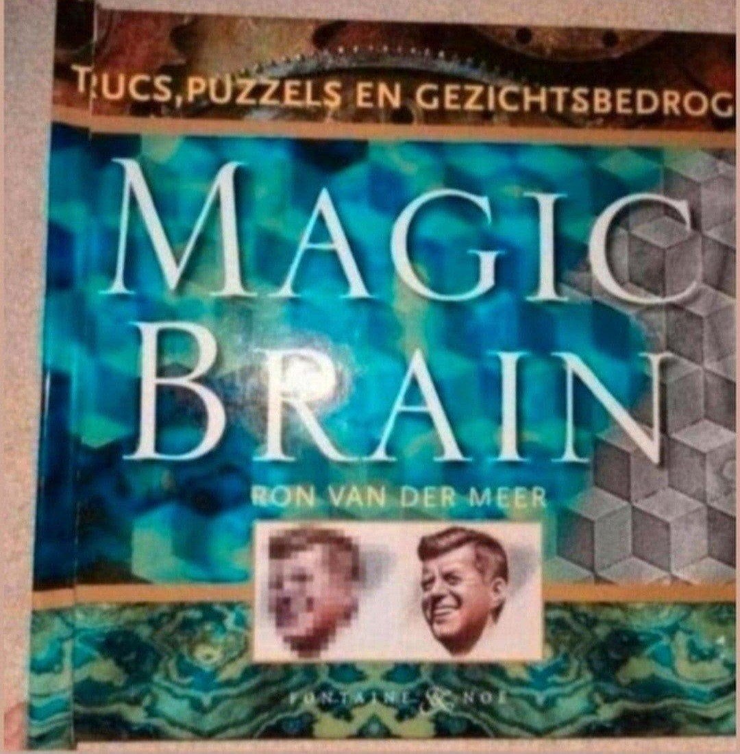 Magic Brain: Trucs, Puzzels en Gezichtsbedrog, Ophalen of Verzenden, Gelezen, Ron van der Meer, Overige