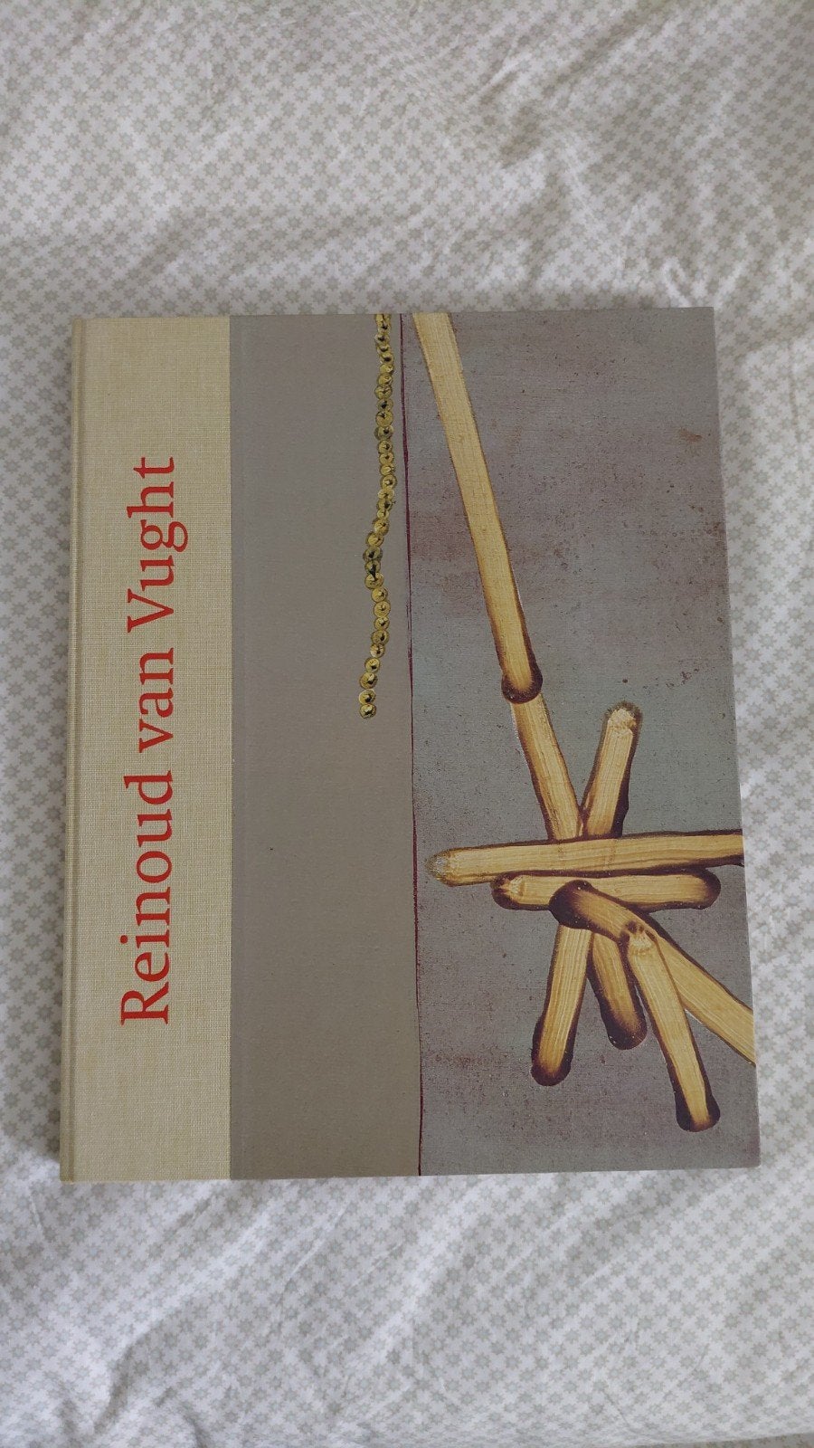 Reinoud van Vught - Kunstboek, Ophalen of Verzenden, Zo goed als nieuw, Overige onderwerpen, Reinoud van Vught