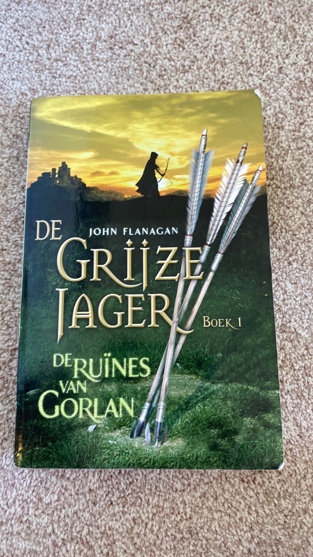 Diverse kinderboeken 8 - 12 jaar oa Grijze Jager, Boeken, Ophalen, Zo goed als nieuw