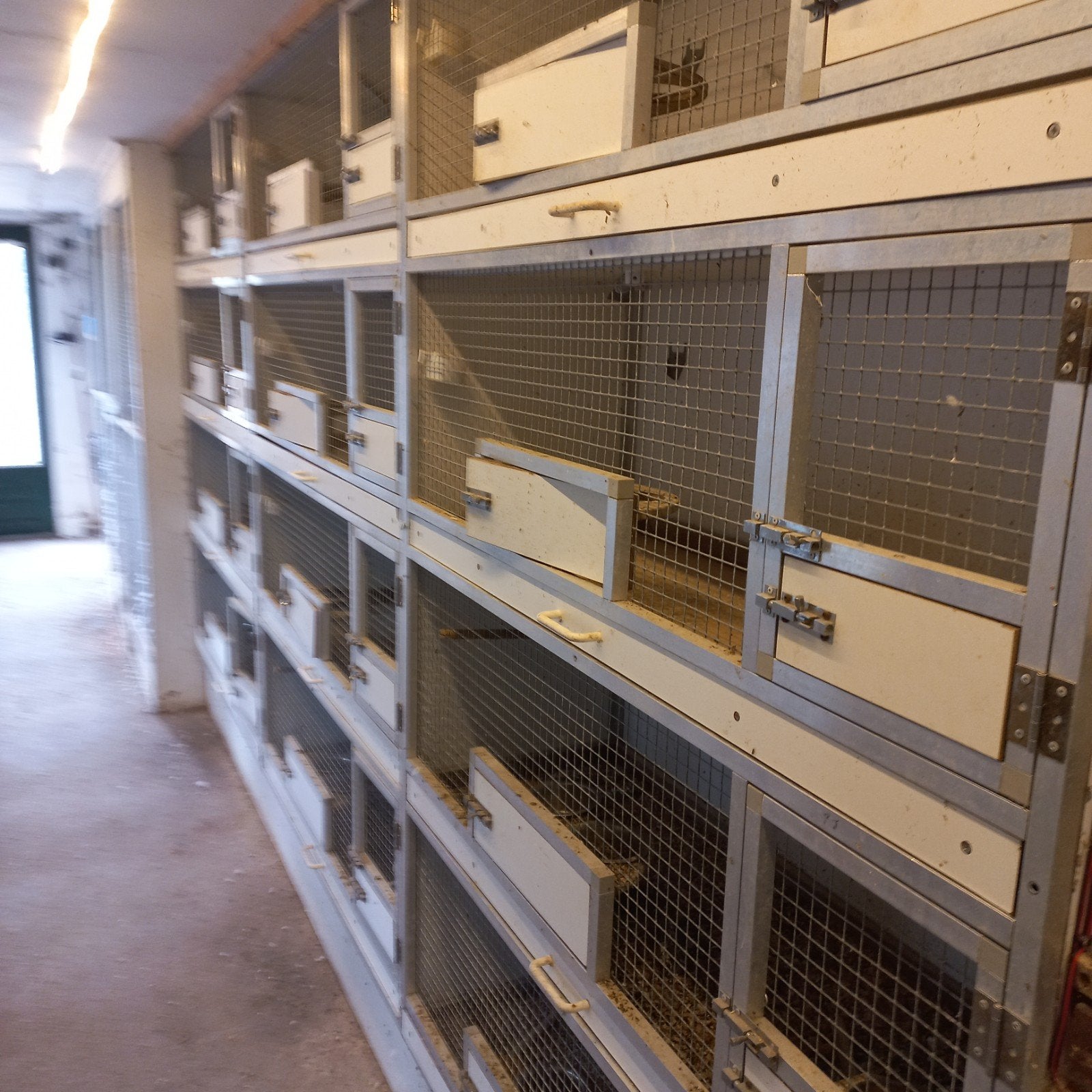 Te koop broedkooien, Dieren en Toebehoren, Vogels | Hokken en Kooien, Ophalen of Verzenden, Hout, Broedkooi of Kweekkooi