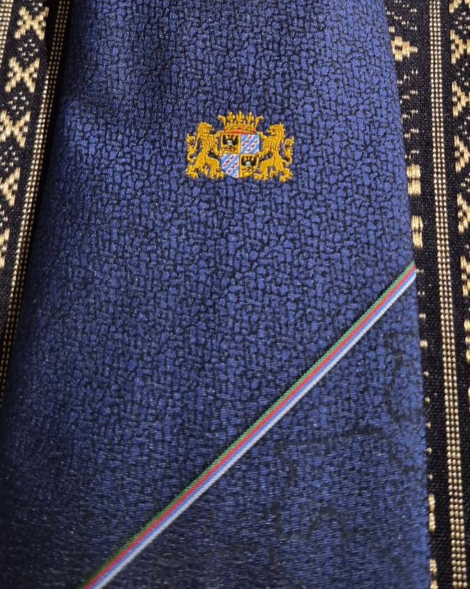 Provincie Groningen stropdas met omtrek afbeelding, Kleding | Heren, Stropdassen, Ophalen of Verzenden, Nieuw, Blauw