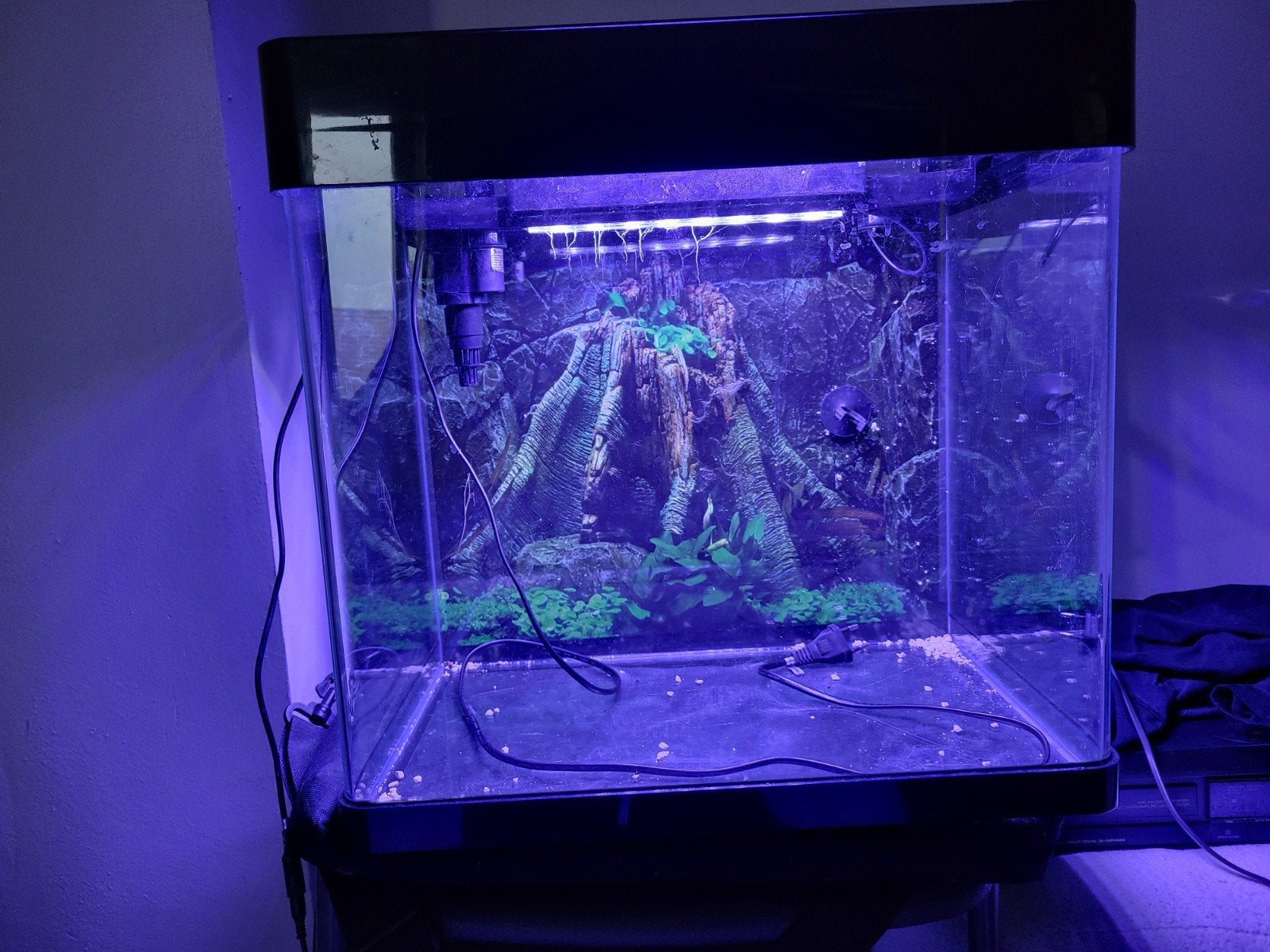 aquarium panorama met 2 led ingebouwde filtersysteem, Ophalen, Inclusief deksel, Leeg aquarium, Superfish