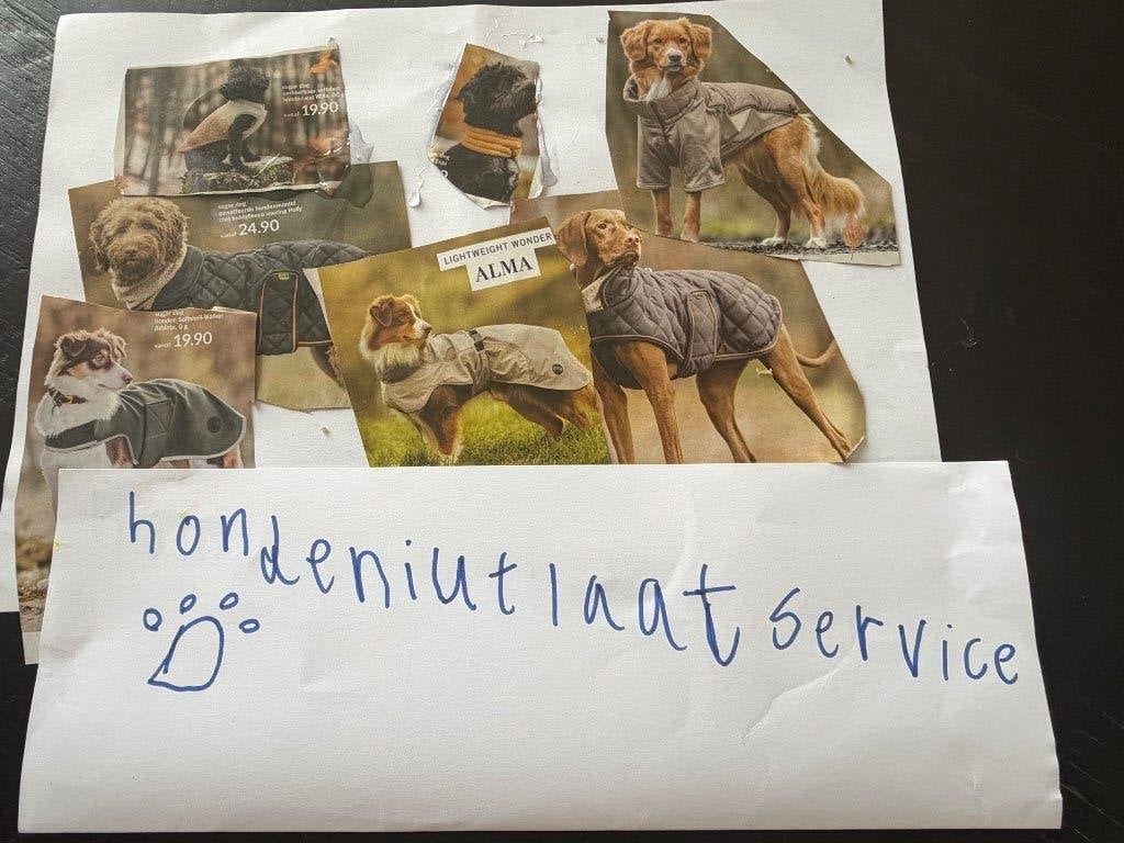 Hondenuitlaat service, Ophalen of Verzenden, Nieuw, Overige typen