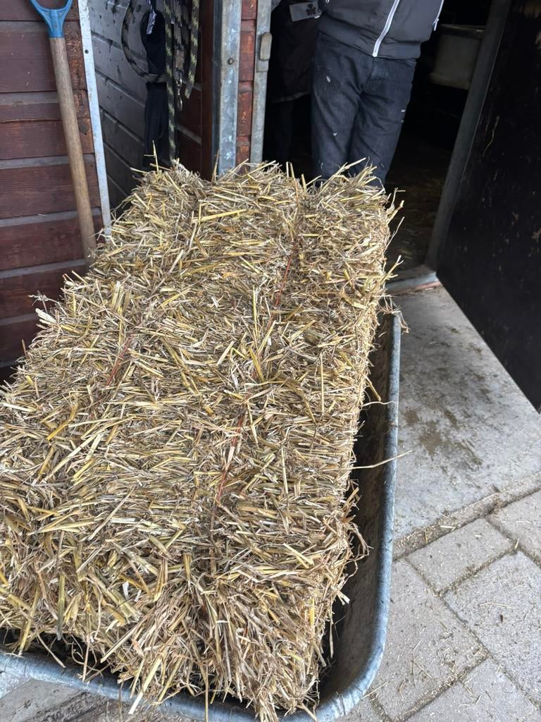 Kleine balen stro te koop, Ophalen, 4273LG, Zo goed als nieuw, Kivits
