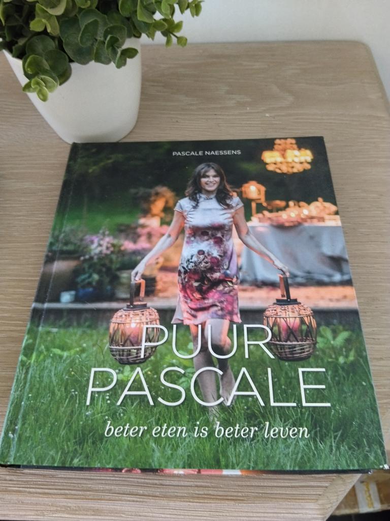 Groot kookboek Pascale Naessens, Ophalen of Verzenden, Zo goed als nieuw, Nederland en België, Gezond koken
