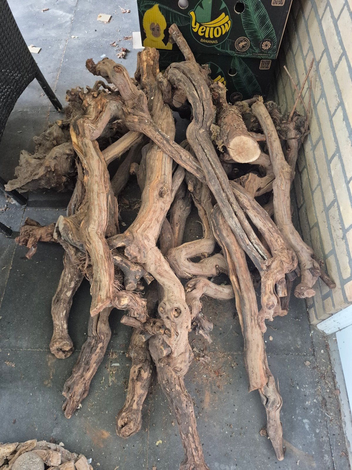Druivenhout gedroogd, Ophalen