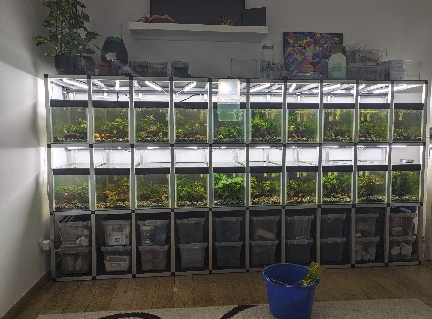 Aquarium stelling, Dieren en Toebehoren, Ophalen, Inclusief deksel, Gebruikt, Gevuld zoetwateraquarium