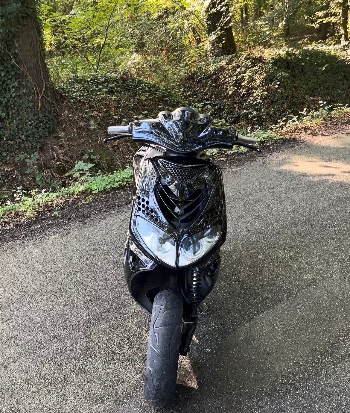 Peugeot verticaal Speedfight 2 in onderdelen, Ophalen of Verzenden, Gebruikt, Overige typen, Peugeot