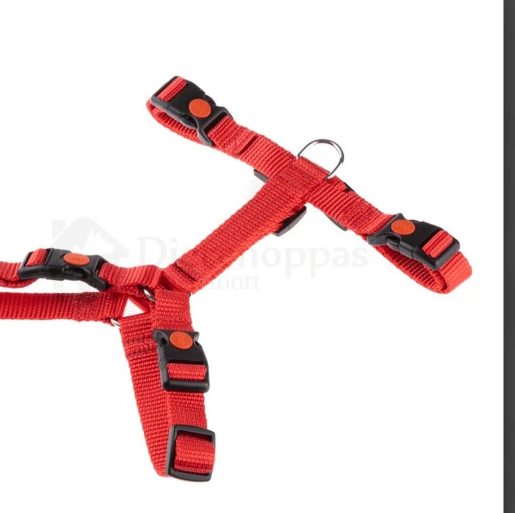 Anny X tuig.   Y tuig kleur rood Maat XS, Ophalen of Verzenden, Nieuw