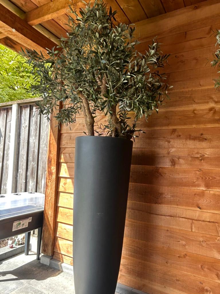 Kunststof olijfbomen, Tuin en Terras, Bloembakken en Plantenbakken, Kunststof, Rond, Ophalen of Verzenden, Zo goed als nieuw