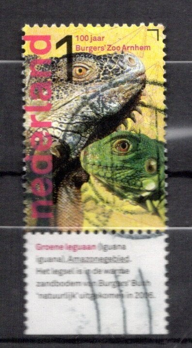 gestempelde zegel. jaar 2013: zoo met tab, Postzegels en Munten, Postzegels | Nederland, Ophalen of Verzenden, Na 1940, Gestempeld