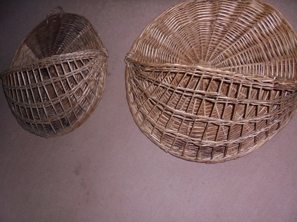 rotan  wandrekken, Ophalen of Verzenden