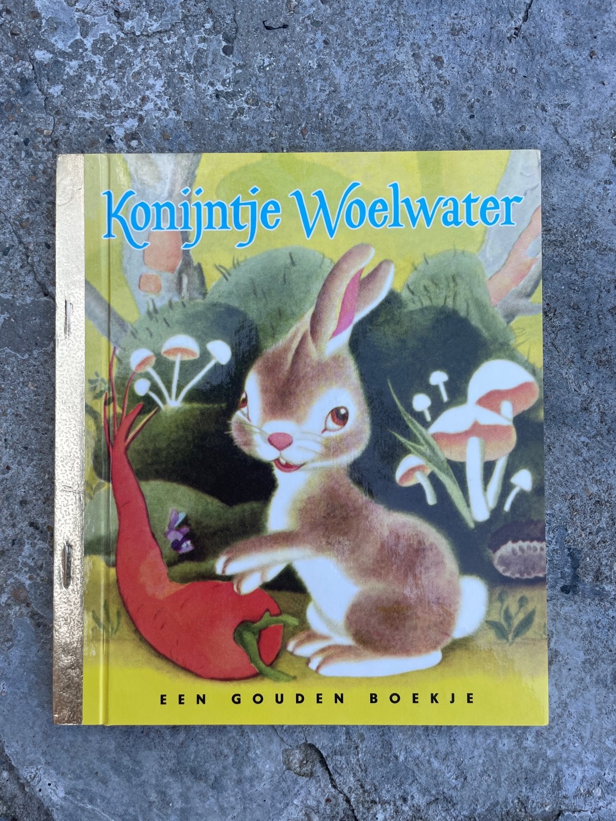 Konijntje Woelwater - Een Gouden Boekje, Ophalen of Verzenden, Nieuw, 2 tot 3 jaar