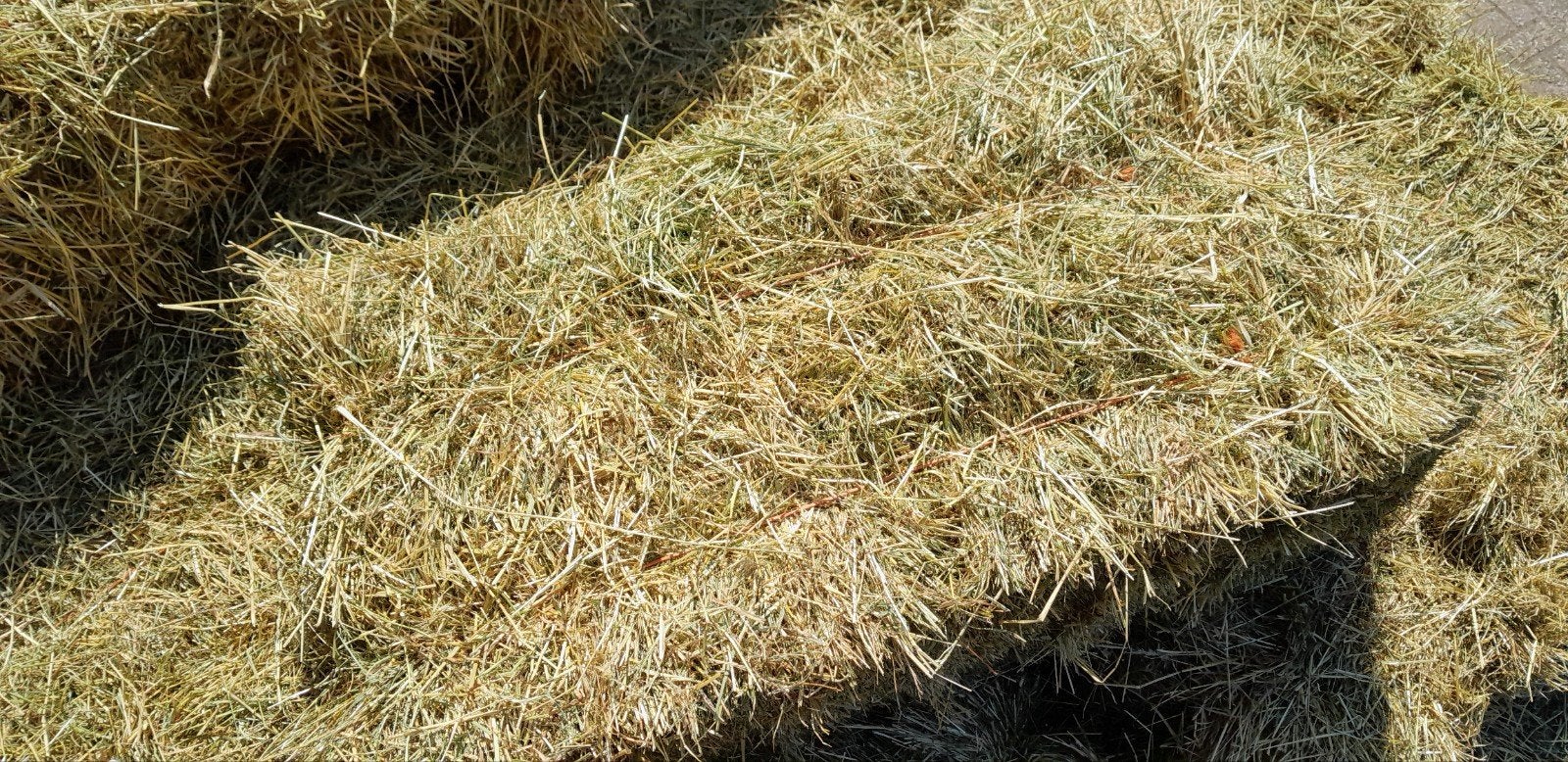 pakken hooi, Meerdere dieren