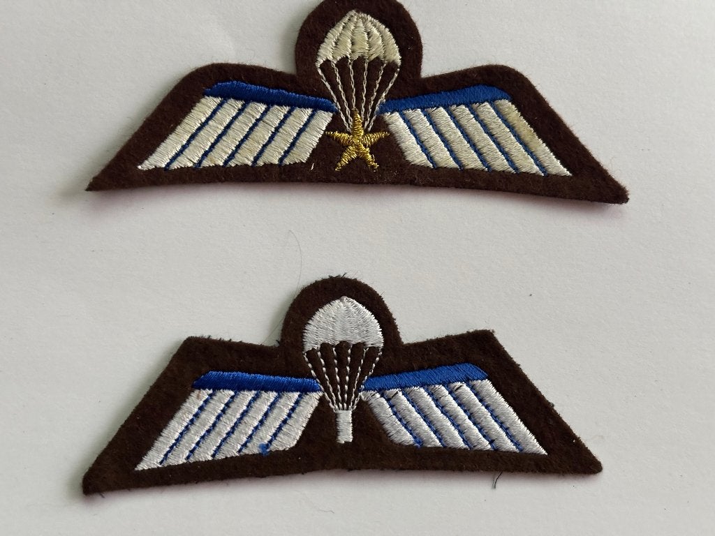 2x Para wings A & B. voor DT, Verzenden, Landmacht, Nederland, Kleding of Schoenen